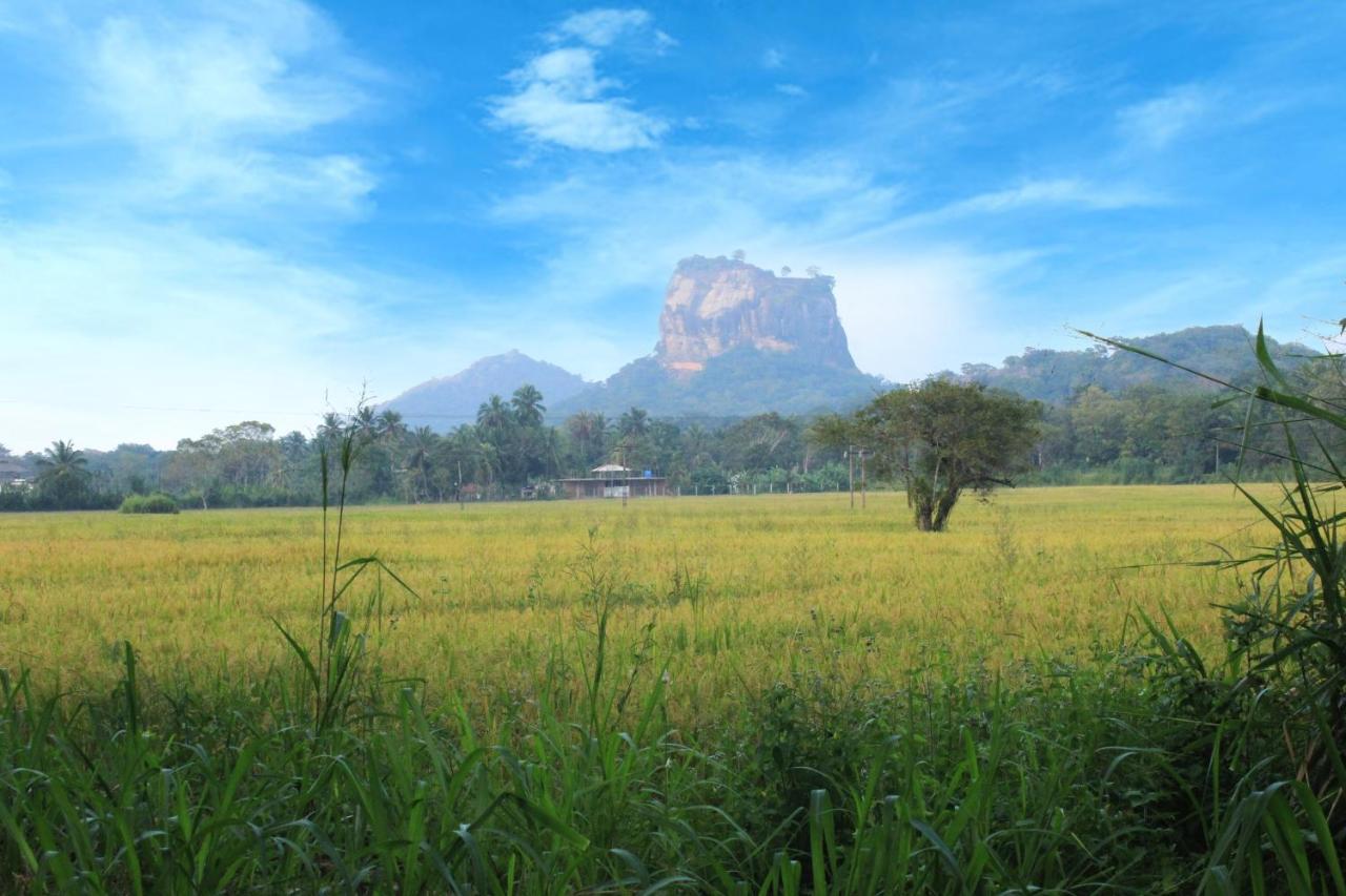 Sigiriya Hillside View Villa Exterior foto