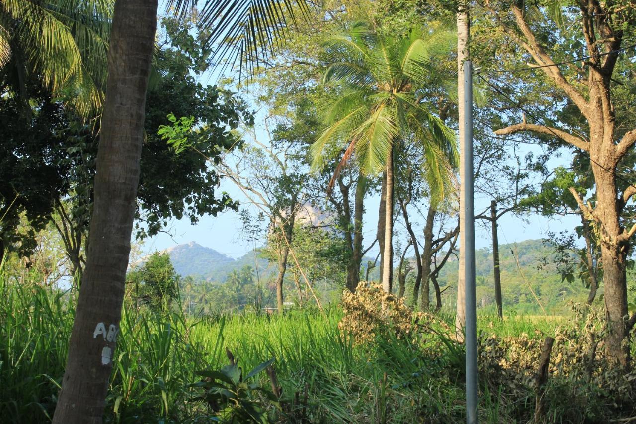 Sigiriya Hillside View Villa Exterior foto